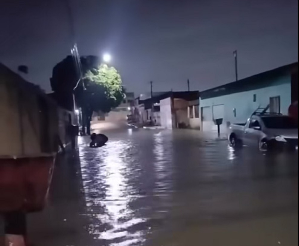 Chuva deixa mais uma vez bairros completamente alagados em Porto Velho