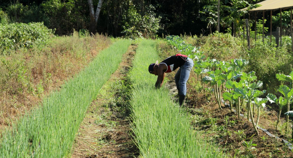 Deputada Cláudia de Jesus garante recurso para a agricultura familiar em Vale do Paraíso